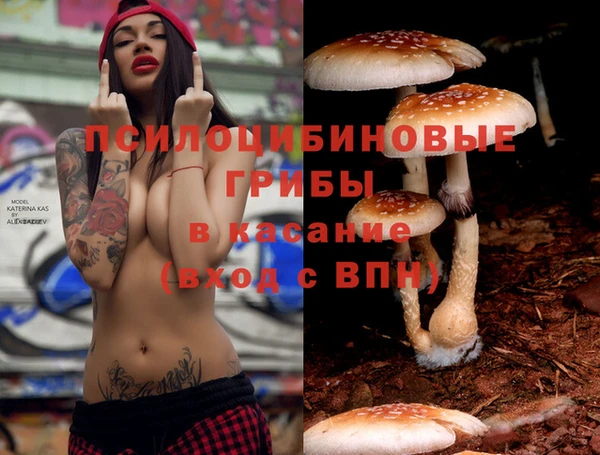дурь Иннополис