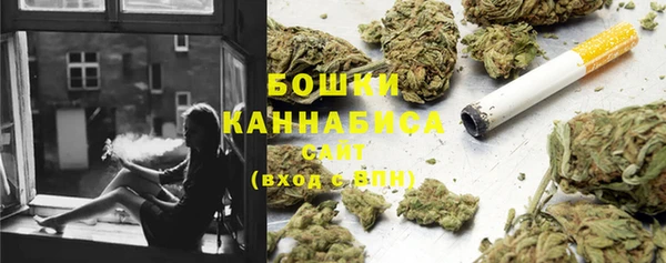 бутират Белокуриха