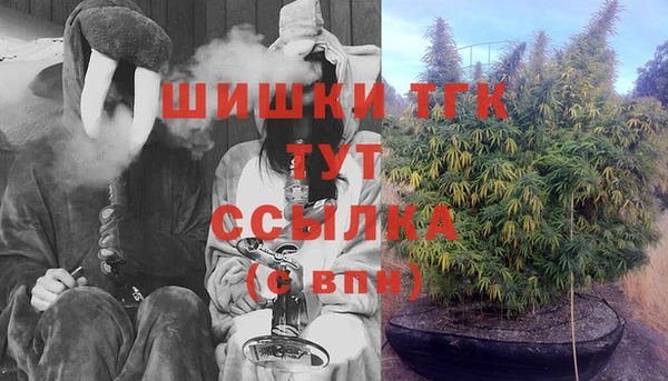 бутират Белокуриха