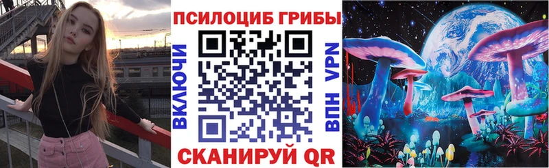Псилоцибиновые грибы Psilocybe  mega вход  Облучье 